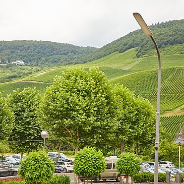 Umgebung