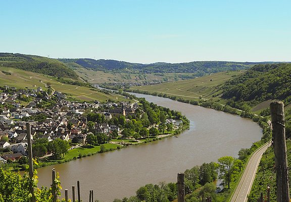 Weinort Neumagen-Dhron