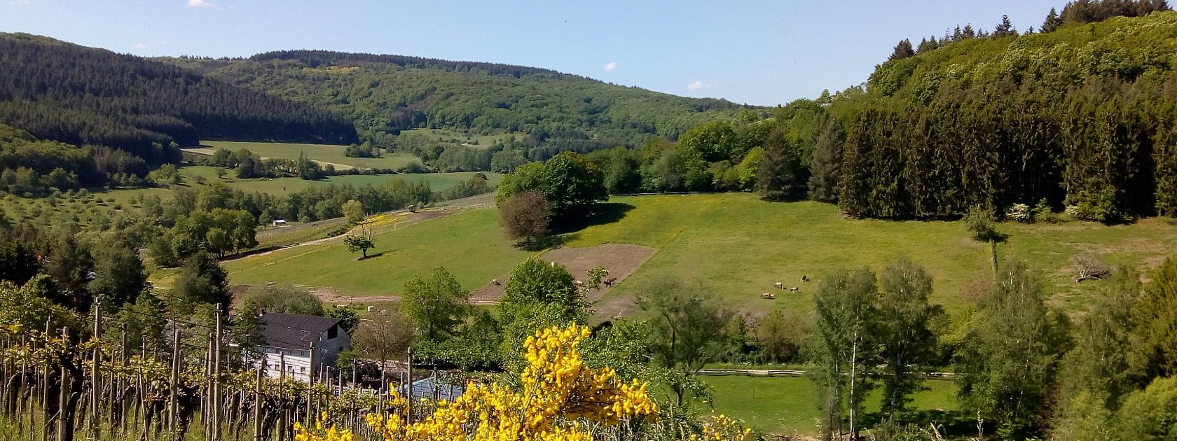 Blick auf den Reiterhof