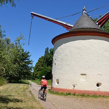 Kranen am Mosel-Radweg bei Trier