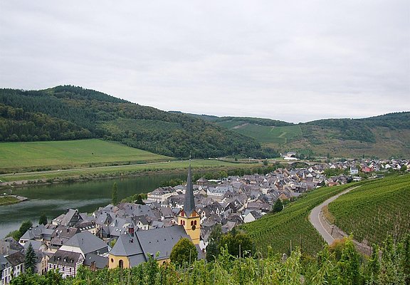 Zeltingen-Rachtig im Ferienland