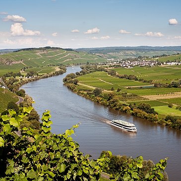 Mosel mit Kreuzfahrtschiff und Blick auf Kesten