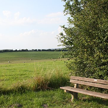 Bank mit Aussicht: Wandern an der Mosel