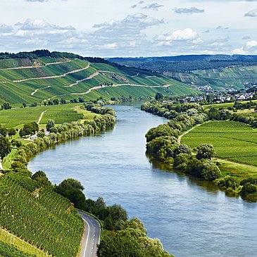 Moseltal bei Brauneberg