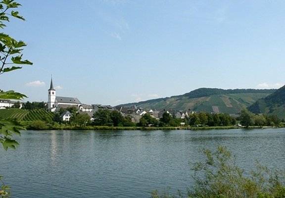 Minheim an der Mosel