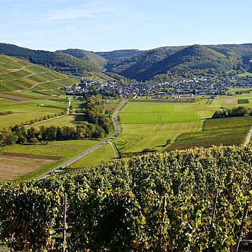 Veldenzer Tal