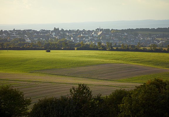Aussicht auf Monzelfeld