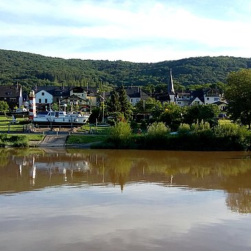 Andel an der Mosel