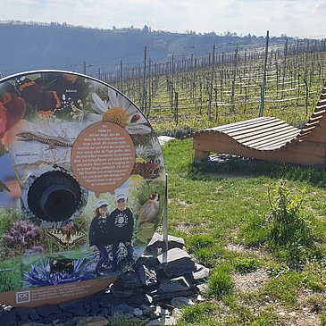Rastplatz mit Insektenhotel