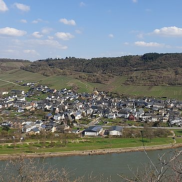 Blick auf Wintrich