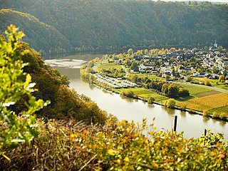 Minheim an der Mosel