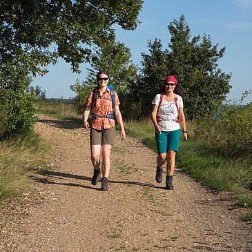 Wandern zwischen Weinbergen und Wäldern