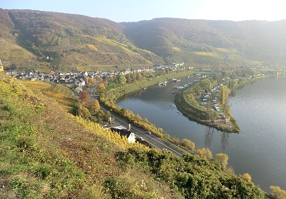 Aussicht auf Senheim mit Hafen