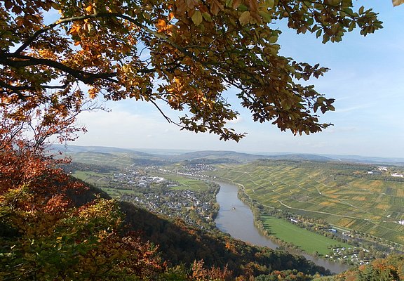 Ausblick "Wilhelmshöhe"