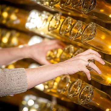 Sekt