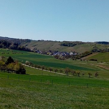 Weinbaugemeinde Burgen