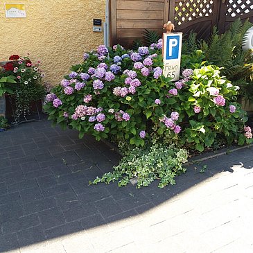 Parkplatz