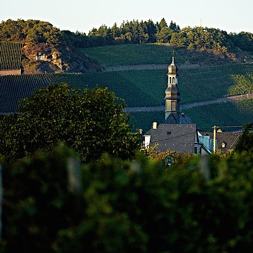 Brauneberg in der Dämmerung
