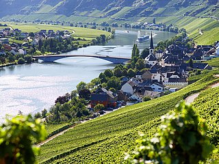 Blick auf Alt Piesport