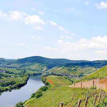 Brauneberg