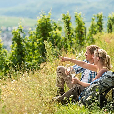 Rast auf dem Brauneberg