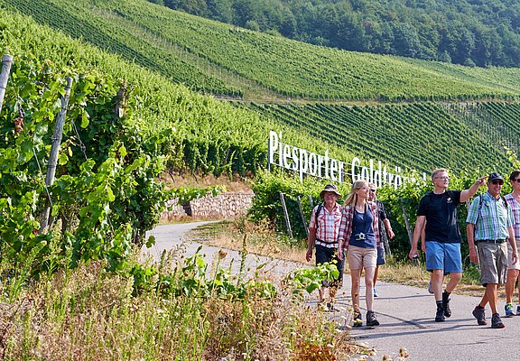 Wandergruppe Piesport