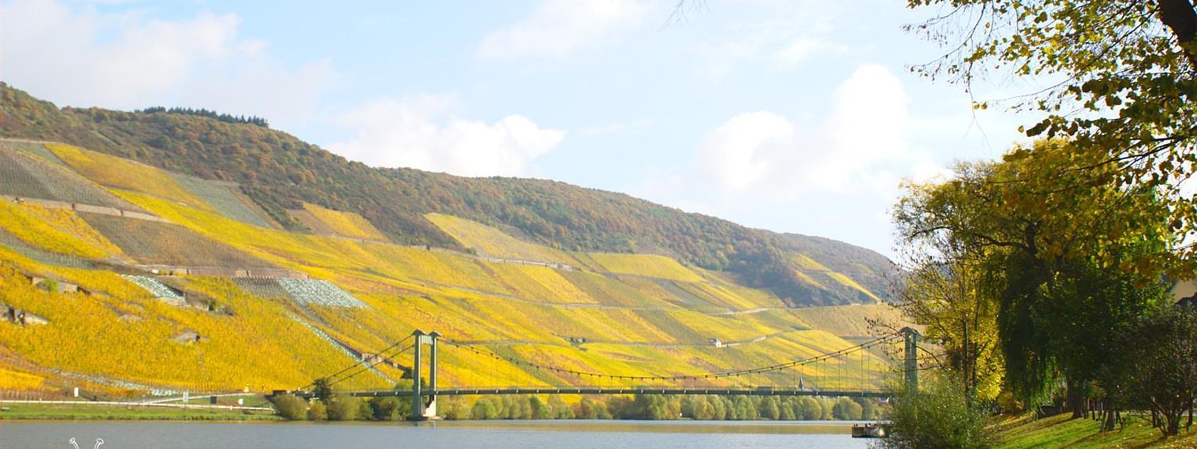 Weinberge