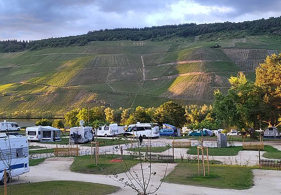 Stellpätze