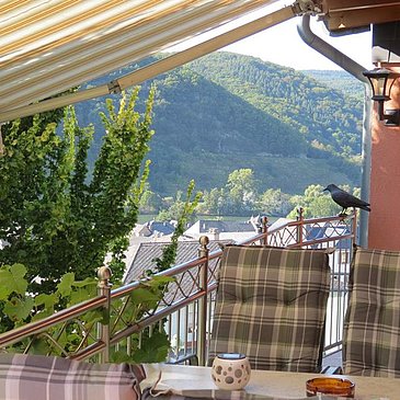Foto Balkon Veilchen