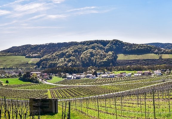 Einstieg Moselsteig Dreiländerblick: Blick Richtung Schengen (Luxemburg, links) und Apach (Frankreich, rechts)