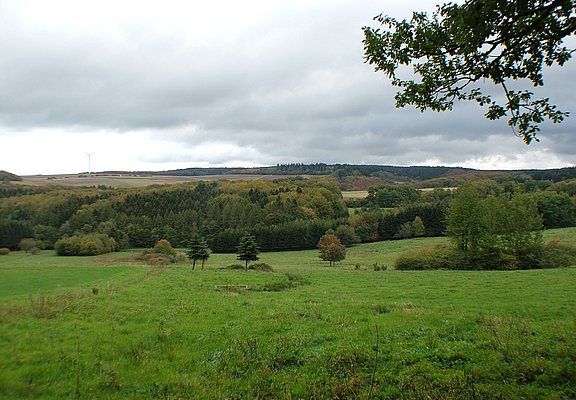 Felderlandschaft im Hunsrück bei Kommen