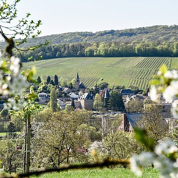 Moselsteig Perl mit Blick auf Schengen