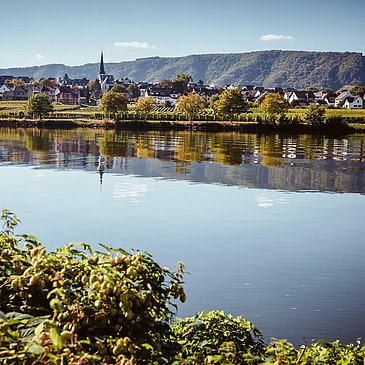 Piesport an der Mosel