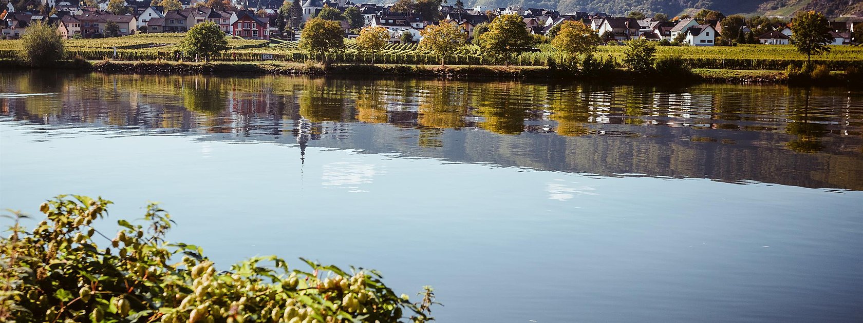 Piesport an der Mosel