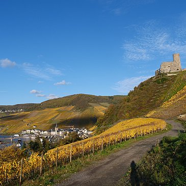 Blick auf Bernkastel und die Burg beim Abstieg