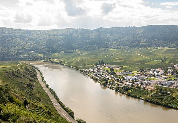 Die Mosel bei Mehring