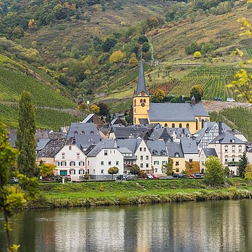 Ortsansicht Zeltingen