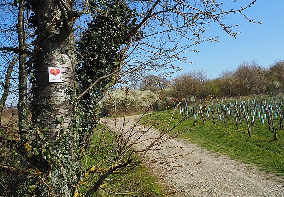 Beschilderung entlang der Strecke