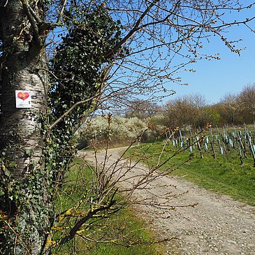 Beschilderung entlang der Strecke
