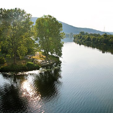 Mündung der Saar in die Mosel in Konz