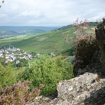 Felsen mit Blick auf Veldenz