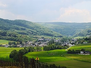 Burgen an der Mittelmosel