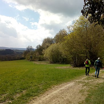 Wandergruppe in der Bernkasteler Schweiz