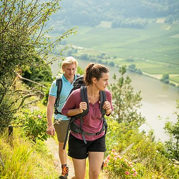 Wandern auf dem Moselsteig nach Mehring