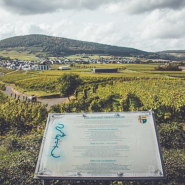 Ausblick auf den Monzeler Hüttenkopf