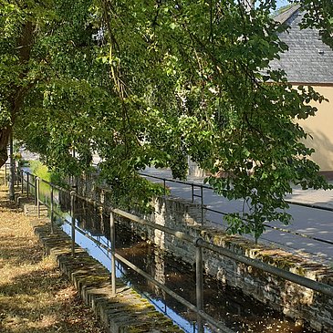 Unterwegs in Burgen