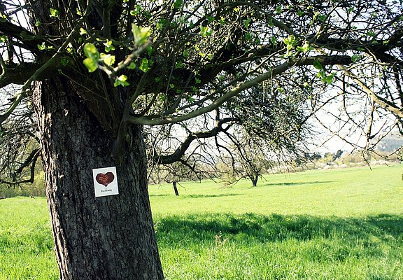 Beschilderung Klosterweg
