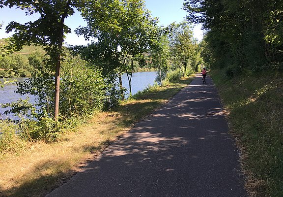 Der Mosel-Radweg bei Temmels