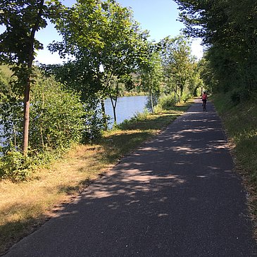Der Mosel-Radweg bei Temmels