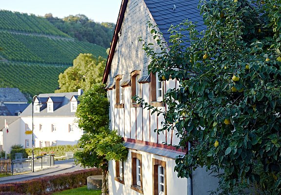 Fachwerkhäuser in Burgen